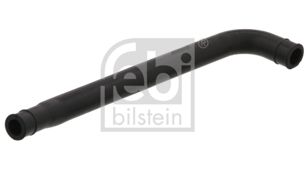 Hose, crankcase ventilation
